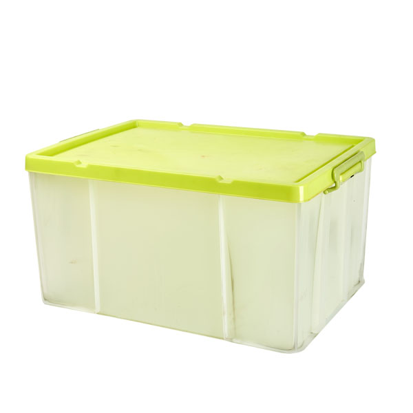 storage box mould 19